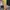 Y2K Casual Pria cream photo 1