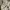 GAP Streetwear Skater Hoody Pria gray photo 4