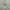 GAP Streetwear Skater Hoody Pria gray photo 1