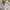 Burberry Vintage Casual Harrington jacket Pria white cream photo 3