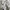 Burberry Vintage Casual Harrington jacket Pria white cream photo 5