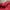 Burberry Vintage Sweater Wanita burgundy red photo 8