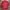 Burberry Vintage Sweater Wanita burgundy red photo 2