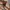 Massimo Dutti Luxury Batik Kebaya Wanita multicolor photo 3