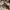 Massimo Dutti Luxury Batik Kebaya Wanita multicolor photo 6