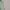 Mango Casual Midi dress Wanita green photo 4
