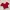 Casual Crop top Wanita red photo 1