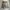 Dickies Vintage Streetwear Boxer Pria tan photo 2