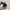 Adidas Casual Casual shoe Pria multicolor photo 4