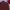Burberry Formal shirt Pria red photo 2