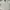 Sportswear Casual Windbreaker Pria cream photo 1