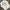 Star Wars Casual Sweater Pria gray photo 1