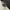 Nike Air Jordan Sportswear Sneakers Pria multicolor photo 1
