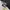 Asics Sportswear Sneakers Pria multicolor photo 1