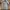 New Balance Streetwear Sportswear Suit Pria gray photo 2