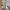 New Balance Streetwear Sportswear Suit Pria gray photo 5