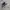 New Balance Streetwear Sportswear Suit Pria gray photo 3