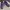 New Balance Sportswear Sneakers Wanita Purple