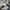 Adidas Casual Track jacket Pria white photo 3