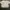 Converse Streetwear T-shirt Pria cream photo 1