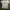 Champion Casual T-shirt Pria multicolor photo 1