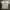 Champion Casual T-shirt Pria Multicolor