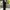 Beams Vintage Avant Garde Jeans Pria black photo 2