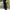 Beams Vintage Avant Garde Jeans Pria black photo 4