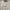Kangol Casual Formal shirt Pria white black photo 2