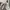 Kangol Casual Formal shirt Pria white black photo 3