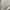 Kangol Casual Formal shirt Pria white black photo 4