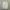 Off-White Casual Formal shirt Pria white yellow photo 1