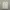 Off-White Casual Formal Shirt Pria White Yellow