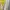 Off-White Casual Formal shirt Pria white yellow photo 4