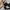 Victoria’s Secret Vintage Bra Wanita black photo 6