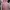 Uniqlo Sportswear Cardigan Wanita pink photo 3