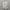 Versace Casual Formal shirt Pria gray photo 1