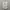 Versace Casual Formal Shirt Pria Gray
