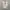 Casual Formal shirt Pria white gray photo 1