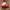 Nike Streetwear Skater Sneakers Wanita white photo 1