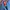 Futurist Casual Hoody Pria blue photo 4