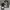 Nike Streetwear Casual Sneakers Pria white black photo 1
