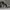 Nike Streetwear Casual Sneakers Pria white black photo 3