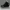 Calvin Klein Luxury Casual Boots Pria white black photo 2