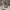Dior Streetwear Casual Sneakers Pria white gray photo 1