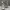 Dior Streetwear Casual Sneakers Pria White Gray