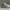 Dior Streetwear Casual Sneakers Pria white gray photo 3