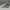 Dior Streetwear Casual Sneakers Pria white gray photo 2