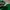 The North Face Streetwear Casual T-shirt Pria green photo 4