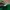 The North Face Streetwear Casual T-shirt Pria green photo 5